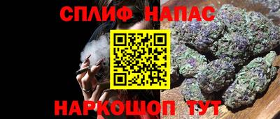 прущие крисы Бердск