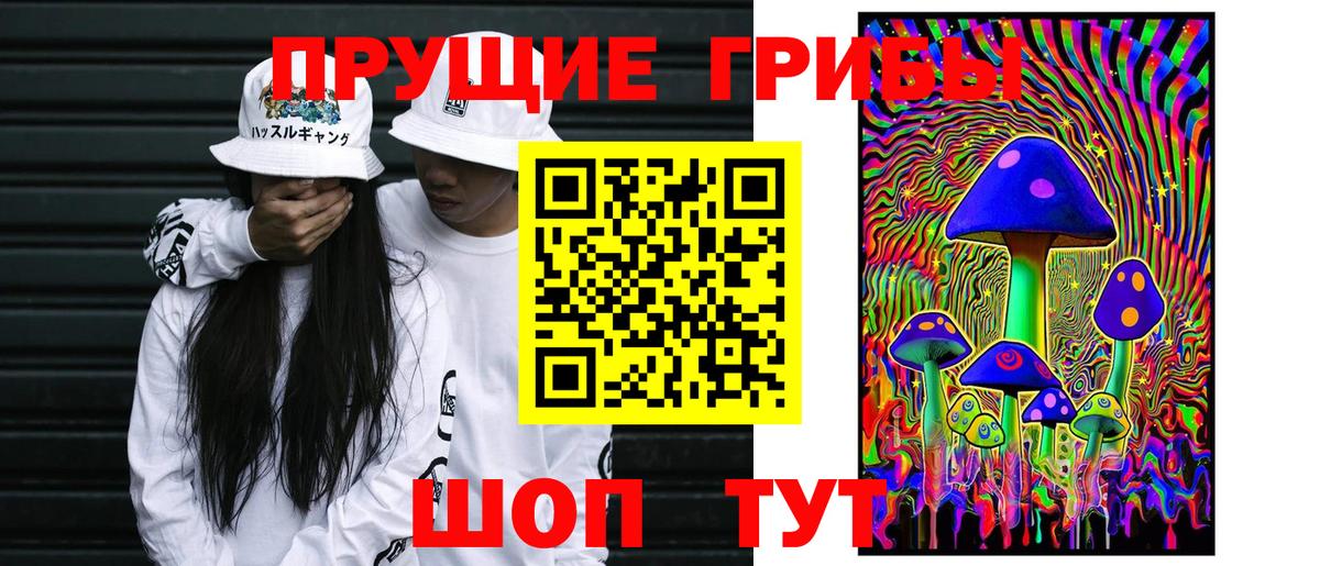 Псилоцибиновые грибы мицелий Муром