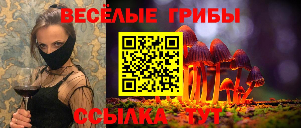 Галлюциногенные грибы GOLDEN TEACHER  Вход с VPN  Муром 